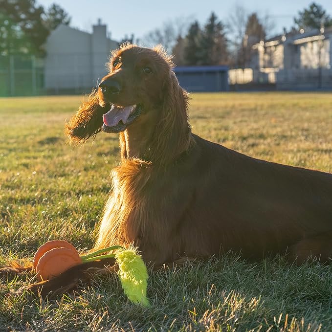 Outward Hound Tail Spinner Squeaky Dog Chase Toy with Furry Tail
