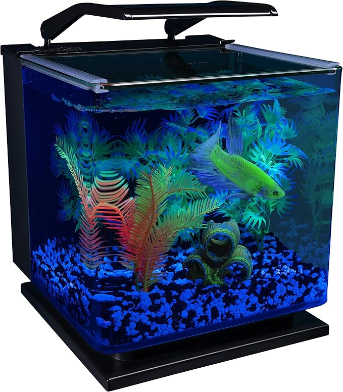 GloFish Betta Aquarium Kit 3 Gallons, Includes LED Lighting And Filter