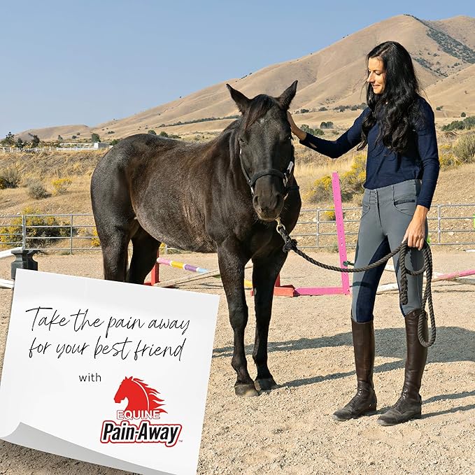 Liniment, All-Natural Chronic Pain Reliever for Horses, Relieves Pain from Arthritis, Hip Dysplasia, and Chronic Joint Pain, Homeopathic, Hypoallergenic, and NSAID-Free