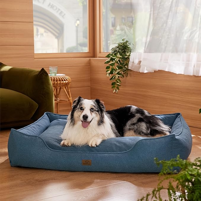 Bedsure Washable Dog Bed for Extra Large Dogs - Waterproof All-Season Foam Dog Beds, Orthopedic Rectangle XL Doggy Beds with Removable Zipper Cover, 42x30x10inches, Blue