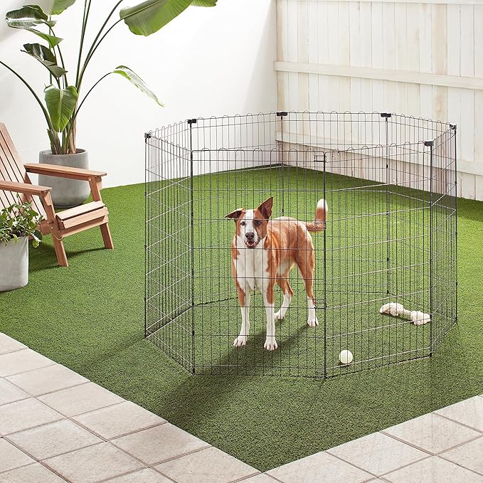 Amazon Basics Foldable Octagonal Metal Exercise Pet Play Pen for Dogs, Fence Pen, No Door, Large, 60 x 60 x 42 Inches, Black