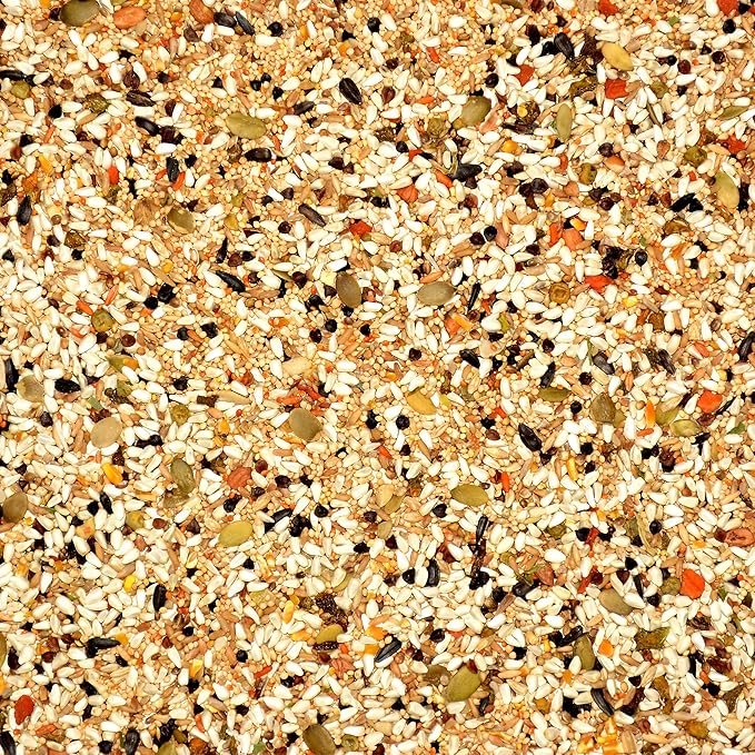 Volkman Avian Science Lovebird & Conure Bird Seed 4 Lb