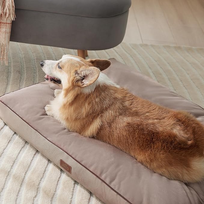 Bedsure Waterproof Large Dog Bed - 4 inch Thicken Up to 80lbs Large Dog Bed with Washable Cover, Pet Bed Mat Pillows, Taupe