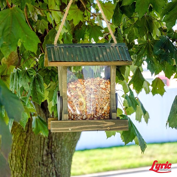 Lyric Delite Wild Bird Seed - No Waste Bird Food Mix with Shell-Free Nuts & Seeds - Attracts Buntings, Chickadees & Finches - 5 lb bag