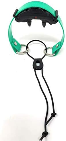 Sparky Pet Co - ECollar Replacement Strap - Bungee Dog Collar - Waterproof - Adjustable - Secure Nexus Wheel Lock - for Electronic Training & Invisible Fence Systems - 3/4" (Green)