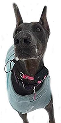 Sparky Pet Co - ECollar Replacement Strap - Bungee Dog Collar - Waterproof - Adjustable - Secure Nexus Wheel Lock - for Electronic Training & Invisible Fence Systems - 3/4" (Green)