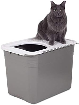 Petmate Top Entry Litter Cat Litter Box With Filter Lid To Clean Paws, Made in USA