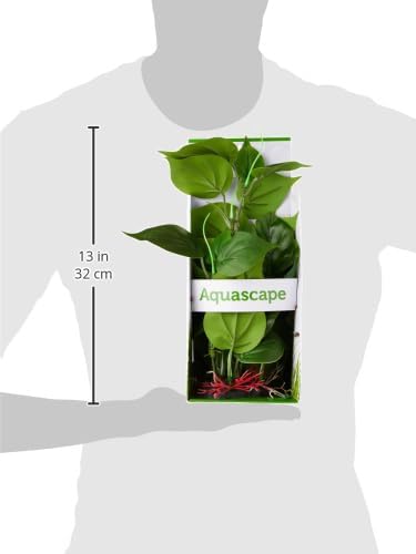 Fluval Anubias Plant for Aquarium, 12-Inch