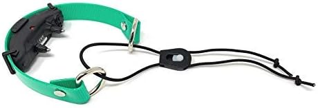 Sparky Pet Co - ECollar Replacement Strap - Bungee Dog Collar - Waterproof - Adjustable - Secure Nexus Wheel Lock - for Electronic Training & Invisible Fence Systems - 3/4" (Green)