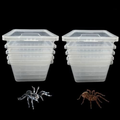 10 Pcs Acrylic Insect Reptile Spider Terrariums Breeding Box Hatching Container,Small Size(5.7cm x5.7cm x4.2cm)