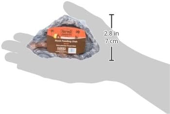 Flukers Fluker's Rock Bowl, Food & Water Dish for Hermit Crabs, Small 4" (Pack of 2)