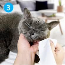 Mooncat Kitten & Cat Acne Chin Treatment | First Cuztomized Cat Acne Cleanse Lotion | Pionner in Cat Care Stuff | Concentrated Solution For Cat Chin & Tail | Prevention for Cats Acne -5 fl oz(150ml)