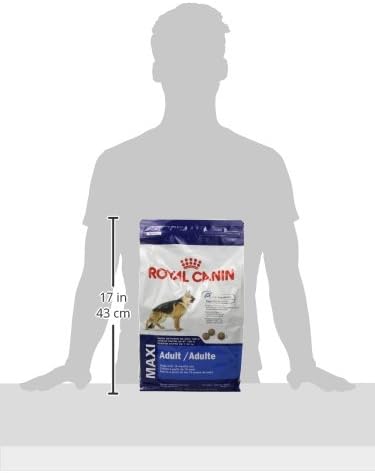 Royal Canin Large Breed Adult Dry Dog Food, 6 lb bag