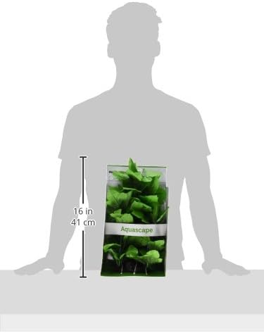 Fluval Lizard's Tail Plant for Aquarium, 16-Inch