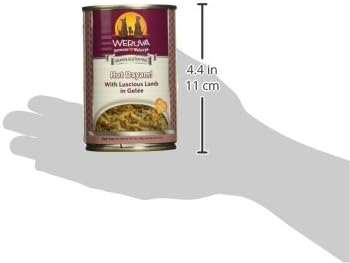 Weruva Classic Dog Food, Hot Dayam! with Lamb in Gelée, 14oz Can (Pack of 12)