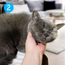 Mooncat Kitten & Cat Acne Chin Treatment | First Cuztomized Cat Acne Cleanse Lotion | Pionner in Cat Care Stuff | Concentrated Solution For Cat Chin & Tail | Prevention for Cats Acne -5 fl oz(150ml)