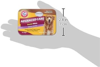 Arm & Hammer for Pets Tartar Control Dental Mints for Dogs | Dog Dental Mints Help Reduce Plaque & Tartar Buildup Without Brushing | Beef Flavor, 40 Count