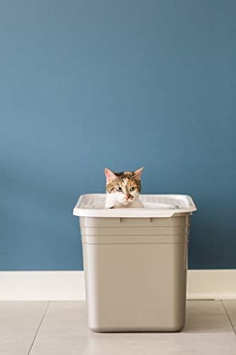 Petmate Top Entry Litter Cat Litter Box With Filter Lid To Clean Paws, Made in USA