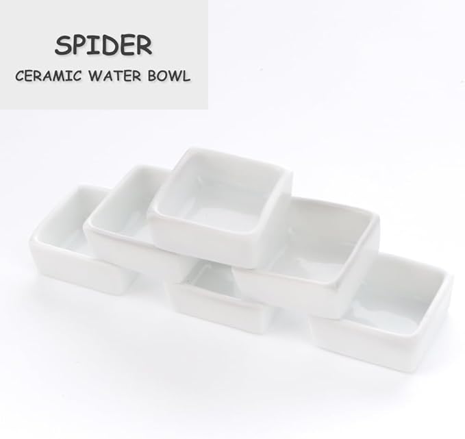 6 Pack Tarantula Ceramic Feeding Bowl Hermit Crab Small Water Bowl Spider Small Reptile Micro Ceramic Food Dish (Square Shape)