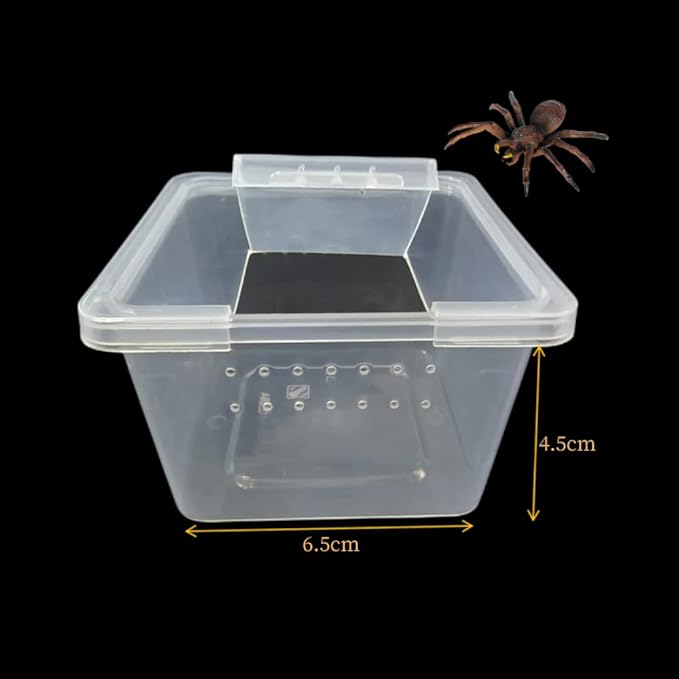 10 Pcs Acrylic Insect Reptile Spider Terrariums Breeding Box Hatching Container,Small Size(5.7cm x5.7cm x4.2cm)