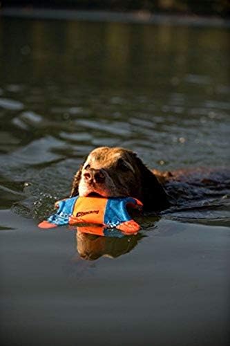 Chuckit Flying Squirrel Fetch Dog Toy, Size Medium (9.5" Diameter), Orange & Blue, for Medium Dog Breeds