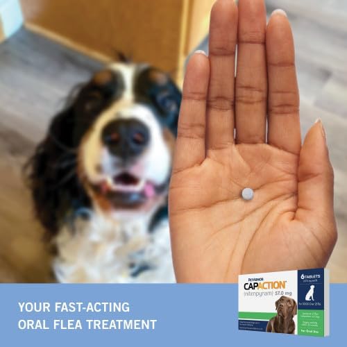 PetArmor CAPACTION Oral Flea Treatment for Dogs (6 Doses) + Bonus PetArmor Plus Topical Flea & Tick Treatment & Preventative for Dogs 89-132 lbs (1 Dose)