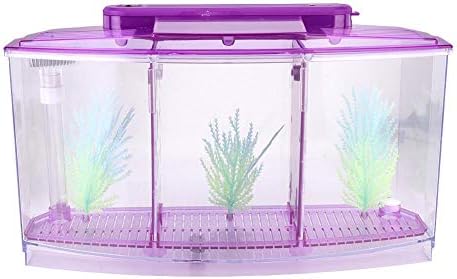 Mini Fish Box, Aquarium Isolation Box Acrylic Breeding Hatchery Small Fishes Incubator Mini Fish with Three Divisions and LED Light()