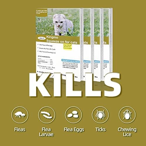 Flea and Tick Prevention for Cats, Cat Flea & Tick Control, Long-Lasting & Fast-Acting Topical Flea & Tick Treatment Drops for Kitten (6 Doses)