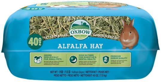 Oxbow Animal Health Alfalfa Hay - All Natural Hay for Young, Pregnant, or Nursing Small Pets - 40 oz.