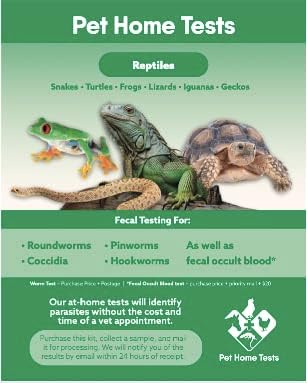 Reptiles