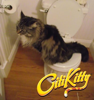 CitiKitty Cat Toilet Training Kit (One Pack + Extra Training Insert)