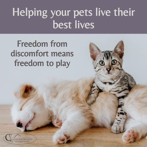 Glacier Peak Holistics Original Pet Intolerance Test - Test Over 300 Food and Environmental Stressors with an Easy at-Home Hair and Saliva Collection Kit - Results in 7-10 Days.