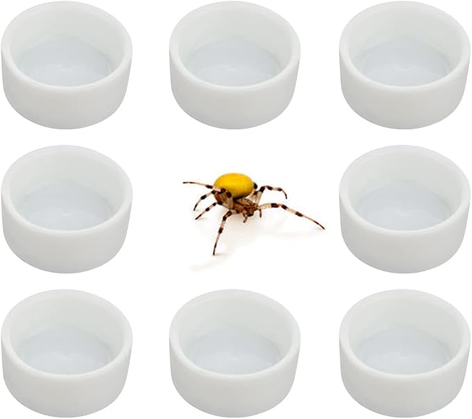 8 Pcs Spider Micro Ceramic Water Bowl Tarantula Mini Dish for Tarantula Spider Scorpion Cricket Snail Manti Millipede Tiny Bugs (White)