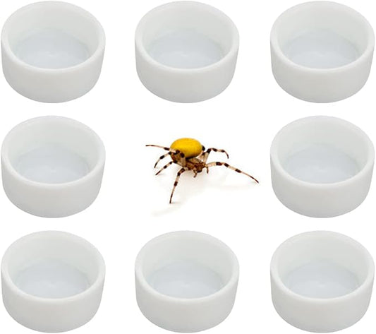 8 Pcs Spider Micro Ceramic Water Bowl Tarantula Mini Dish for Tarantula Spider Scorpion Cricket Snail Manti Millipede Tiny Bugs (White)