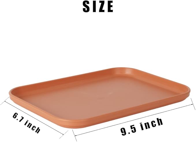 Reptile Large Water Dish, Tortoises Food Bowl - S (9.5 * 6.7 * 0.6)