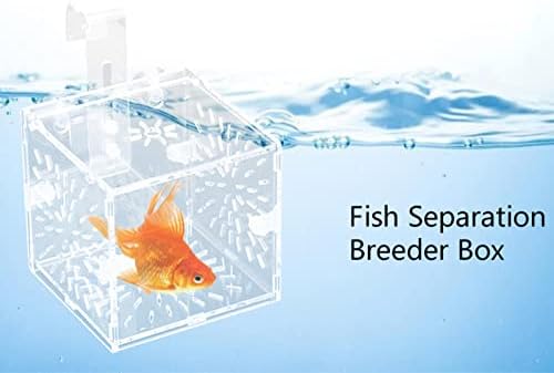 Fish Breeding Isolation Box, Breeder Isolation Divider Hatching Box Acrylic Transparent Aquarium Hatchery Incubator Holder 3.94in x 3.94inch x 3.94inch