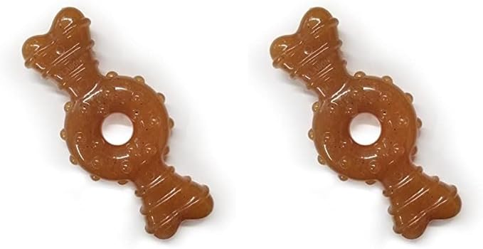 Nylabone Puppy Ring Bone Chew Toy - Puppy Chew Toys for Teething - Puppy Supplies - Chicken Flavor, Small/Petite (1 Count) (Pack of 2)