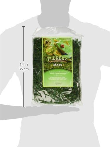 Fluker's Green Reptile Terrarium Moss, 8,Quart, Black