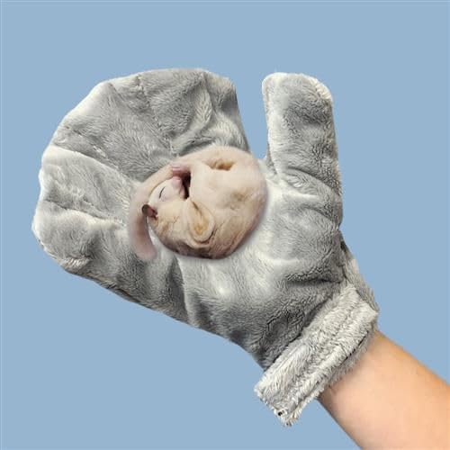 Exotic Nutrition Calming Glove - Comfy Bonding Mitt for Sugar Gliders, Hedgehogs, Rats, Hamsters, & Other Small Pets