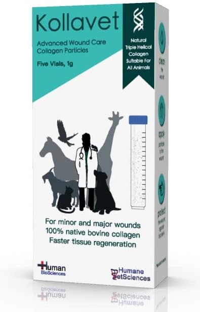 Veterinarian-Recommended Animal Wound Care Dressing for Cats, Dogs, Horses, Reptiles, Pets, and Working Animals (1 Gram Vials)