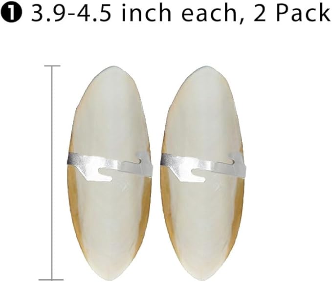 Natural Cuttlebone for Birds Parakeets Canaries Cockatiels Small Conures Mynahs Toucans African Greys All Parrots Snails Totoise, with Holder for Bird Cage (3.9-4.5",2PCS)