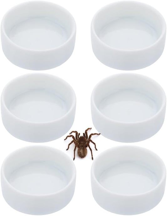 6 Pack Tarantula Ceramic Feeding Bowl Hermit Crab Water Bowl Spider Snail Insect Micro Food Dish (White, 1.25" D, 0.51" H)