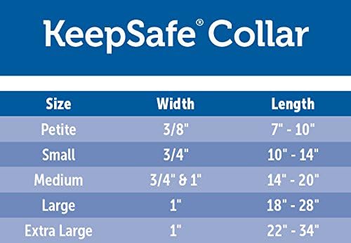 PetSafe KeepSafe Break-Away Collar, Prevent Collar Accidents for your Dog or Puppy, Improve Safety, Compatible with Leash Use, Adjustable Sizes