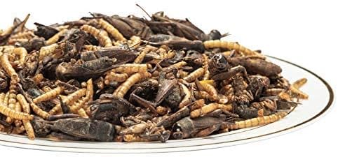 with Natural Dried Crickets (8oz) All Natural 100% Non-GMO, Food for Breaded Dragons, Chicken, Fish, Ducks, Wild Birds, Turtles, Hedgehogs