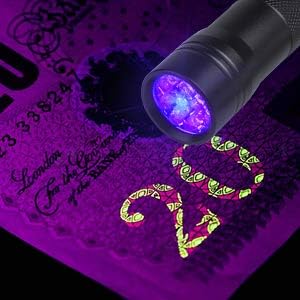 Beinhome 5 Pack UV Flashlight Black Light 12 LED Ultra Violet Blacklight Detector for Dog Cat Urine, Pet Stains, Bed Bug, Scorpion with 5 AAA Free Batteries