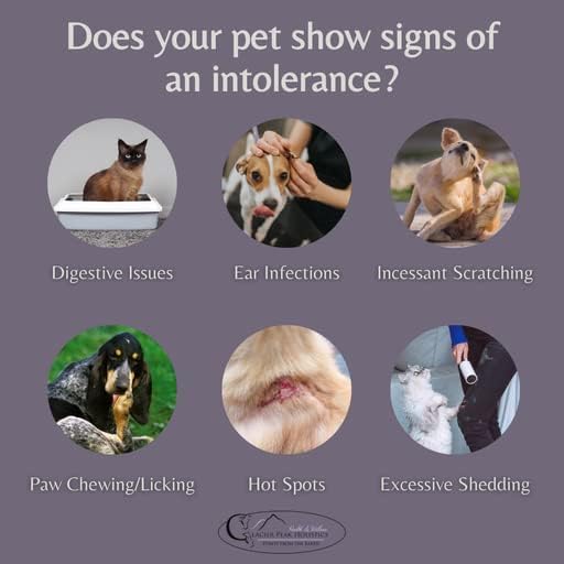 Glacier Peak Holistics Original Pet Intolerance Test - Test Over 300 Food and Environmental Stressors with an Easy at-Home Hair and Saliva Collection Kit - Results in 7-10 Days.