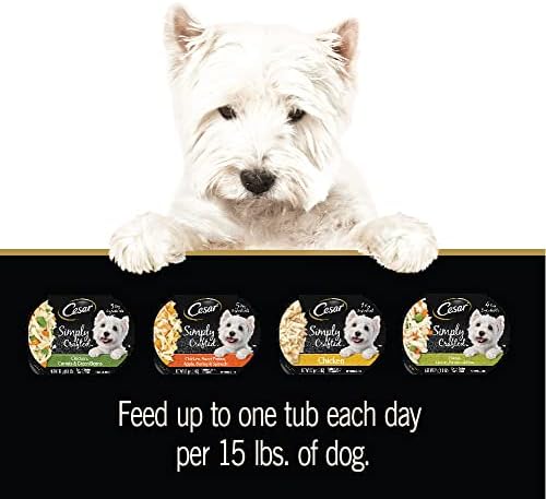 CESAR SIMPLY CRAFTED Adult Soft Wet Dog Food Cuisine Complement Variety Pack, (24) 1.3 oz Tubs