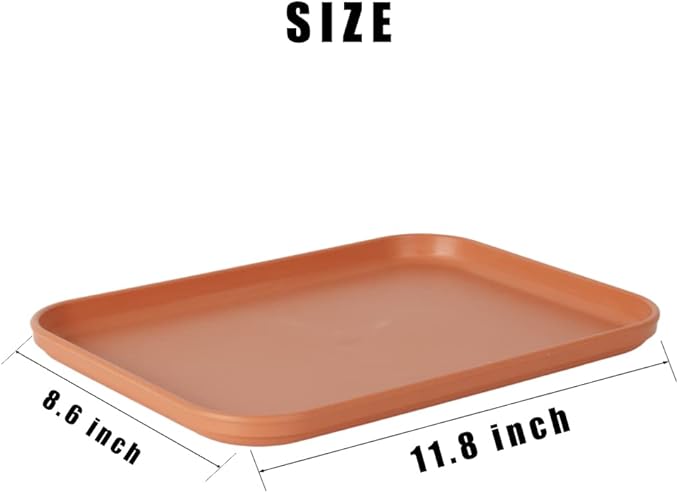 Reptile Large Water Dish, Tortoises Food Bowl - M (11.8 * 8.6 * 0.6)