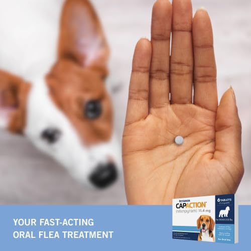 PetArmor CAPACTION Oral Flea Treatment for Dogs (6 Doses) + Bonus PetArmor Plus Topical Flea & Tick Treatment & Preventative for Dogs 23-25 lbs (1 Dose)