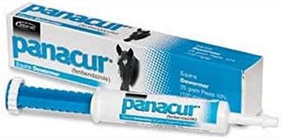 PANACUR Dewormer HORSE PASTE 10%, 100mg (Pack of 2)